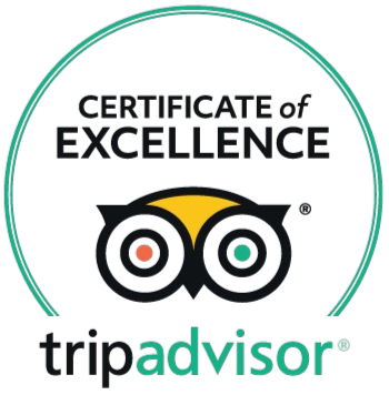 TripAdvisor